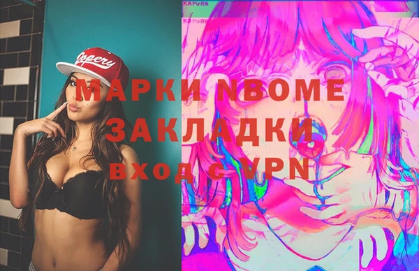 2c-b Ельня