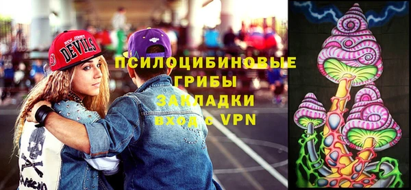 шишки Елабуга