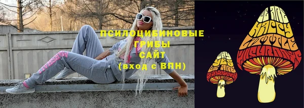 кристаллы Дмитриев