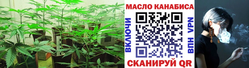 ссылка на мегу как войти  нарко площадка формула  Славгород  Дистиллят ТГК вейп с тгк  цены наркотик 