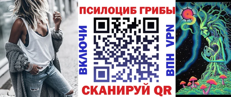 Псилоцибиновые грибы мицелий  магазин продажи   Славгород 