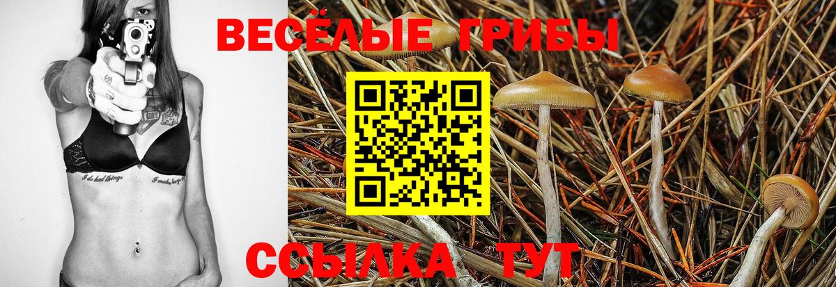 Псилоцибиновые грибы мицелий Славгород