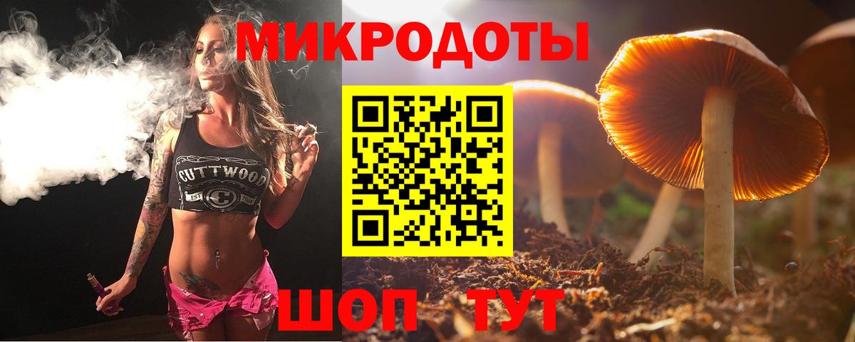 Славгород  Галлюциногенные грибы прущие грибы  Псилоцибиновые грибы прущие грибы  Вход с VPN 