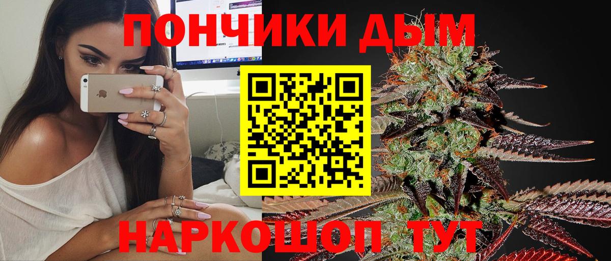 Каннабис индика Славгород